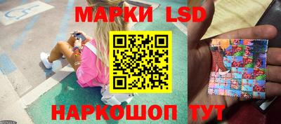 ПСИЛОЦИБИНОВЫЕ ГРИБЫ Новокубанск