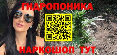 МДМА Новозыбков