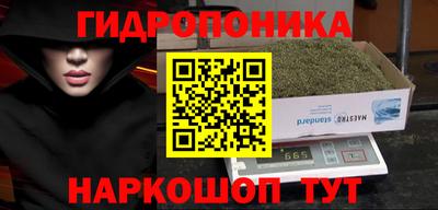 ПСИЛОЦИБИНОВЫЕ ГРИБЫ Новокубанск