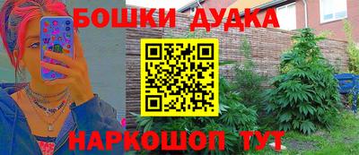 ПСИЛОЦИБИНОВЫЕ ГРИБЫ Новокубанск