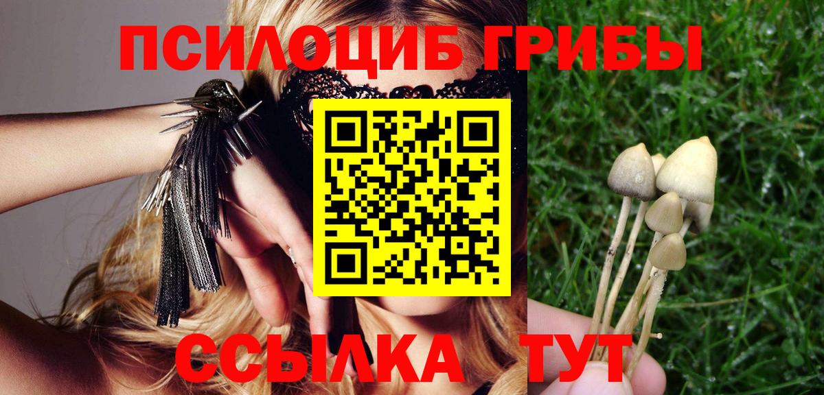 Нижний Новгород  Галлюциногенные грибы GOLDEN TEACHER  наркота  Вход с VPN 